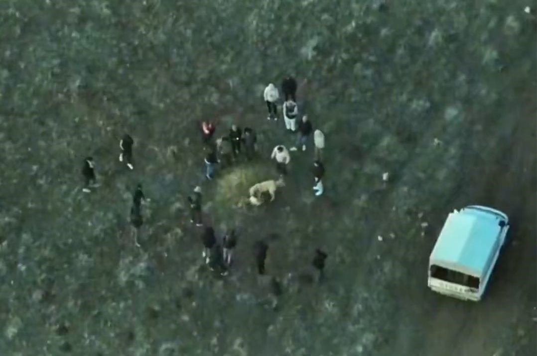 Dron ile Köpek Dövüşü Operasyonu: 14 Gözaltı