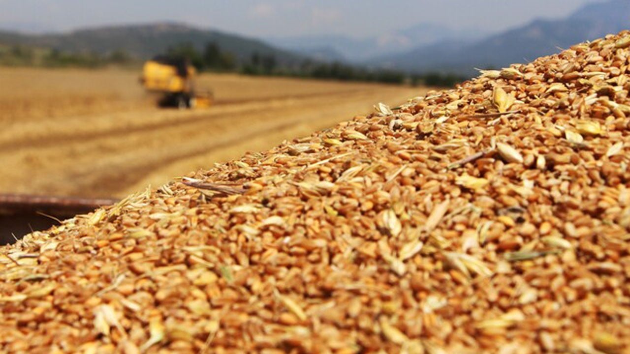 Drone saldırısı küresel buğday piyasasını sarstı