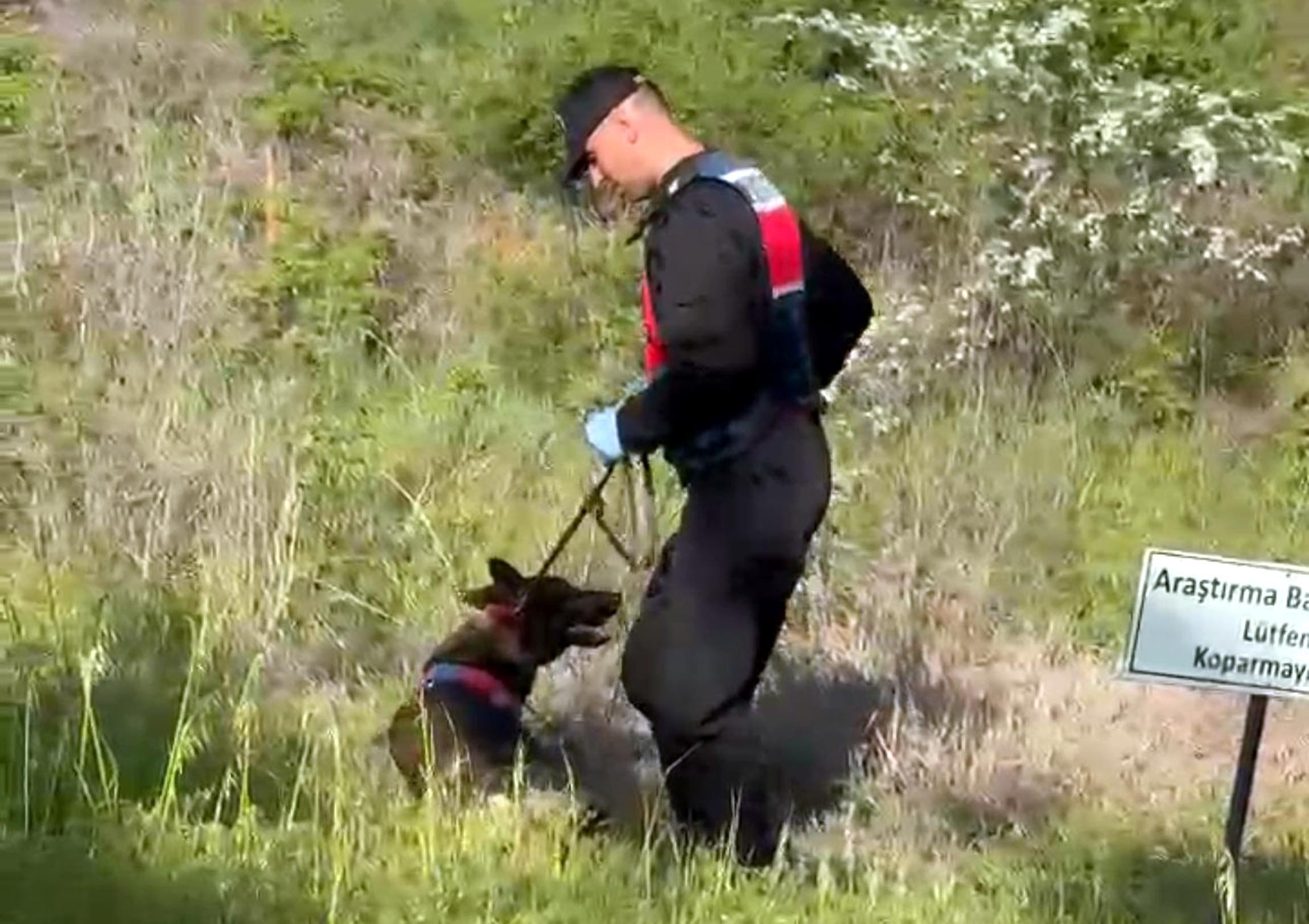 Edirne'de kayıp olarak aranıyordu, cansız bedeni bulundu