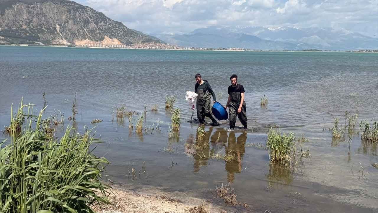 Eğirdir Gölü'nde kaçak avcıya geçit yok! 100 metrelik ağ operasyonla sudan çıkarıldı!