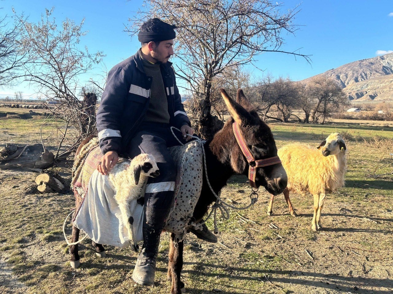 Erzincan’da "Yalancı Bahar" Mesaisi: Yem Torbası Kapandı, Mera Kapısı Açıldı!