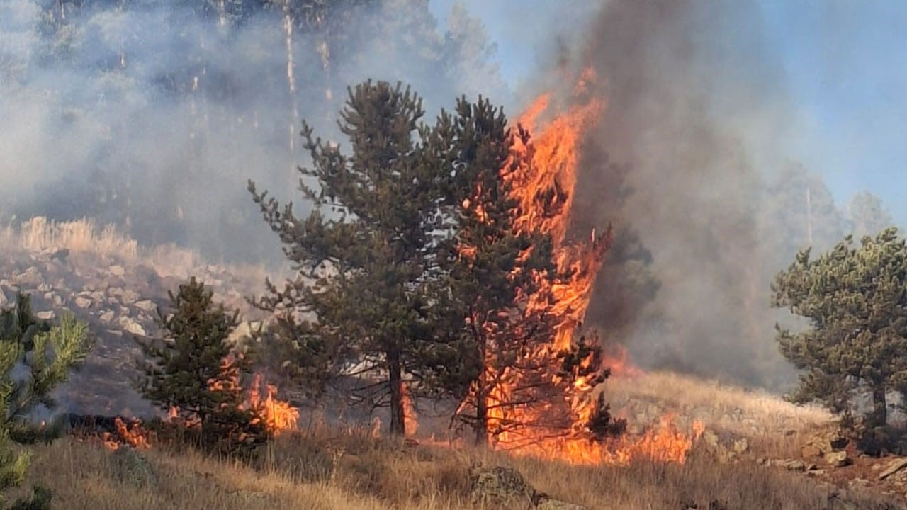 Erzurum'da üç ayrı noktada dumanlar yükseldi
