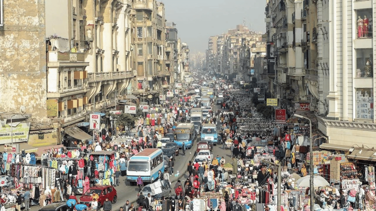 Ev yiyen böcek ülkeye dadandı!