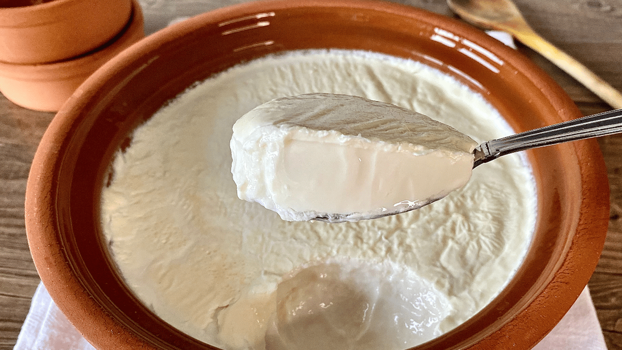 Ev yoğurdundaki faydalı bakteriler uzmanları şaşırttı!