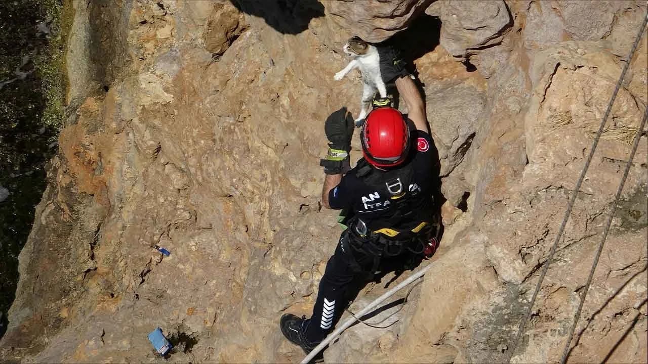 Falezlerde ölüm kalım savaşı! Mahsur kalan minik dostumuz için seferber oldular