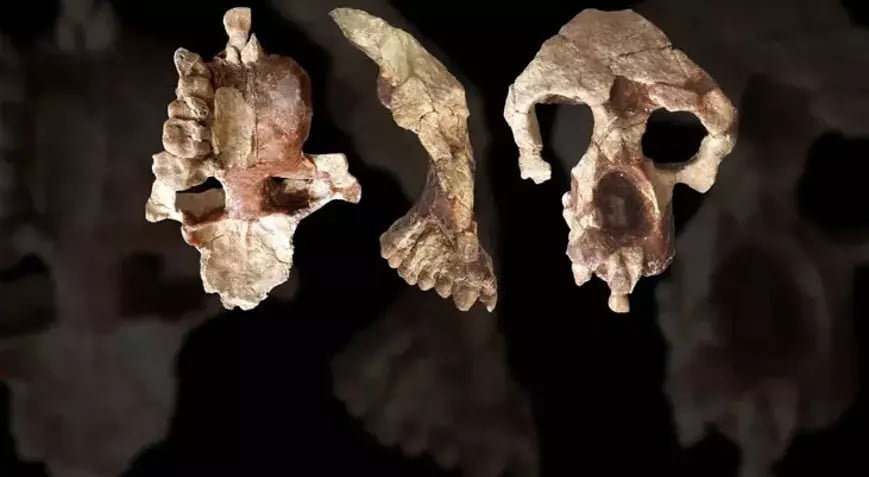 Fas’ta insanlık tarihini değiştiren keşif: 773 bin yıllık fosiller gün yüzüne çıktı!