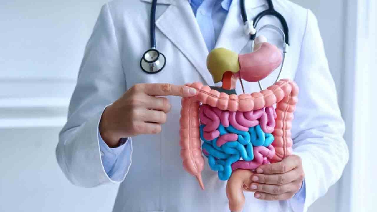 Faydalı bakteriler yolunu buluyor: Bağırsak dengesini koruyan gizli mekanizma