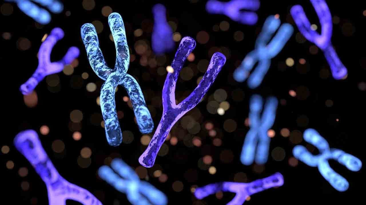 Fazla kromozoma karşı genetik devrim: Down sendromunda yeni umut