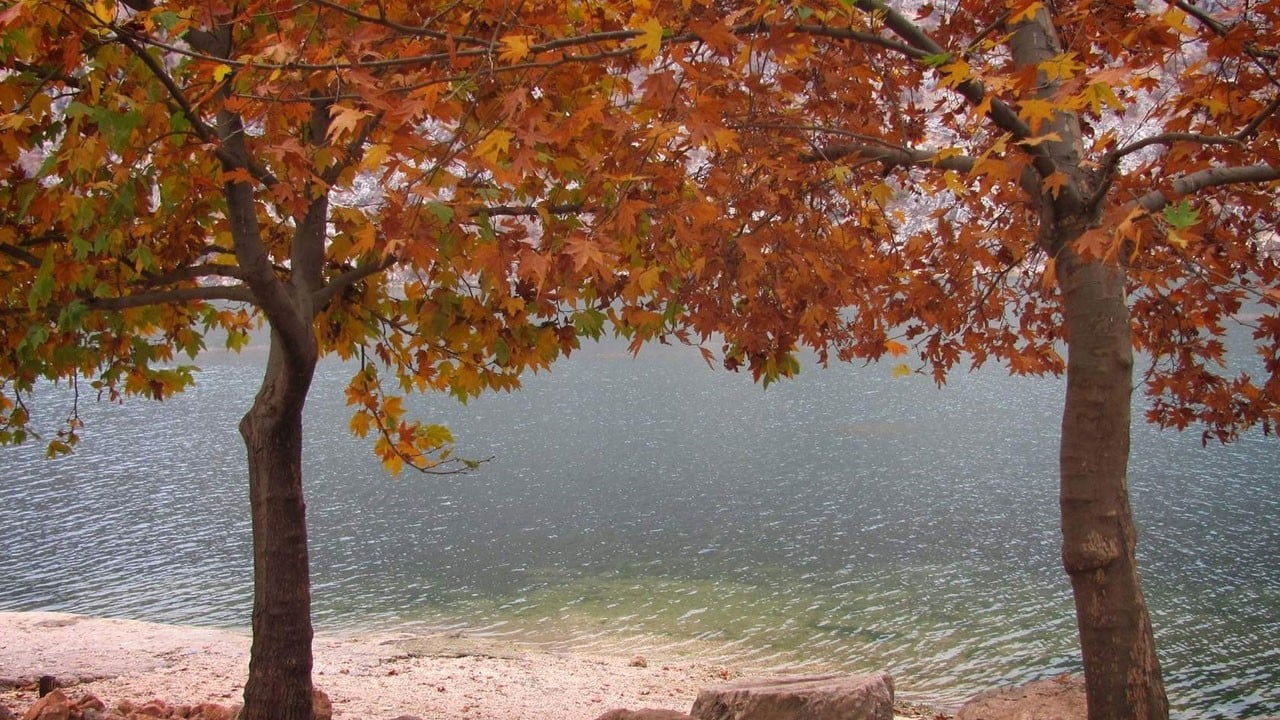 Fırat kıyısında sonbahar büyüsü!