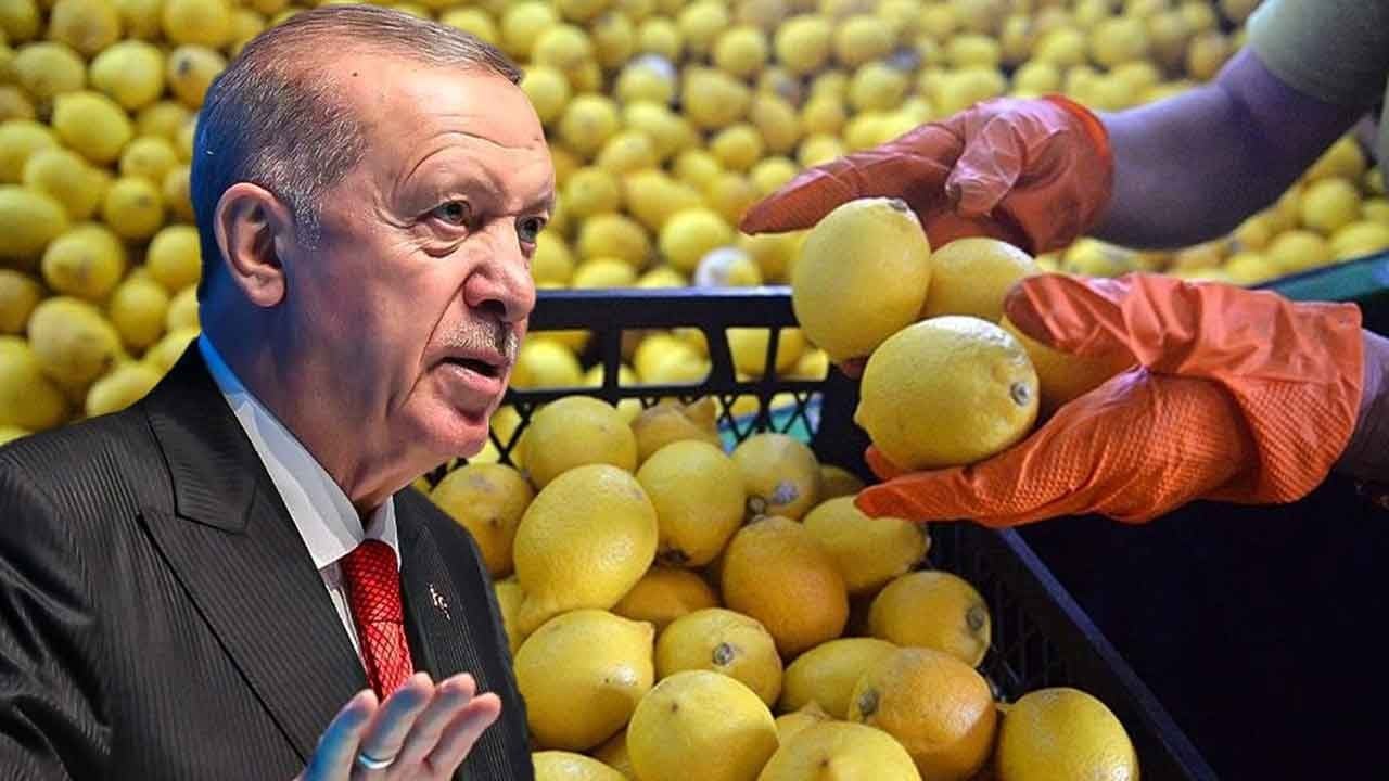Fiyatı 100 TL'yi geçmişti! Başkan Erdoğan el attı