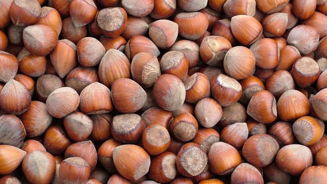 Giresunlu kadın girişimci kendi markasını kurdu