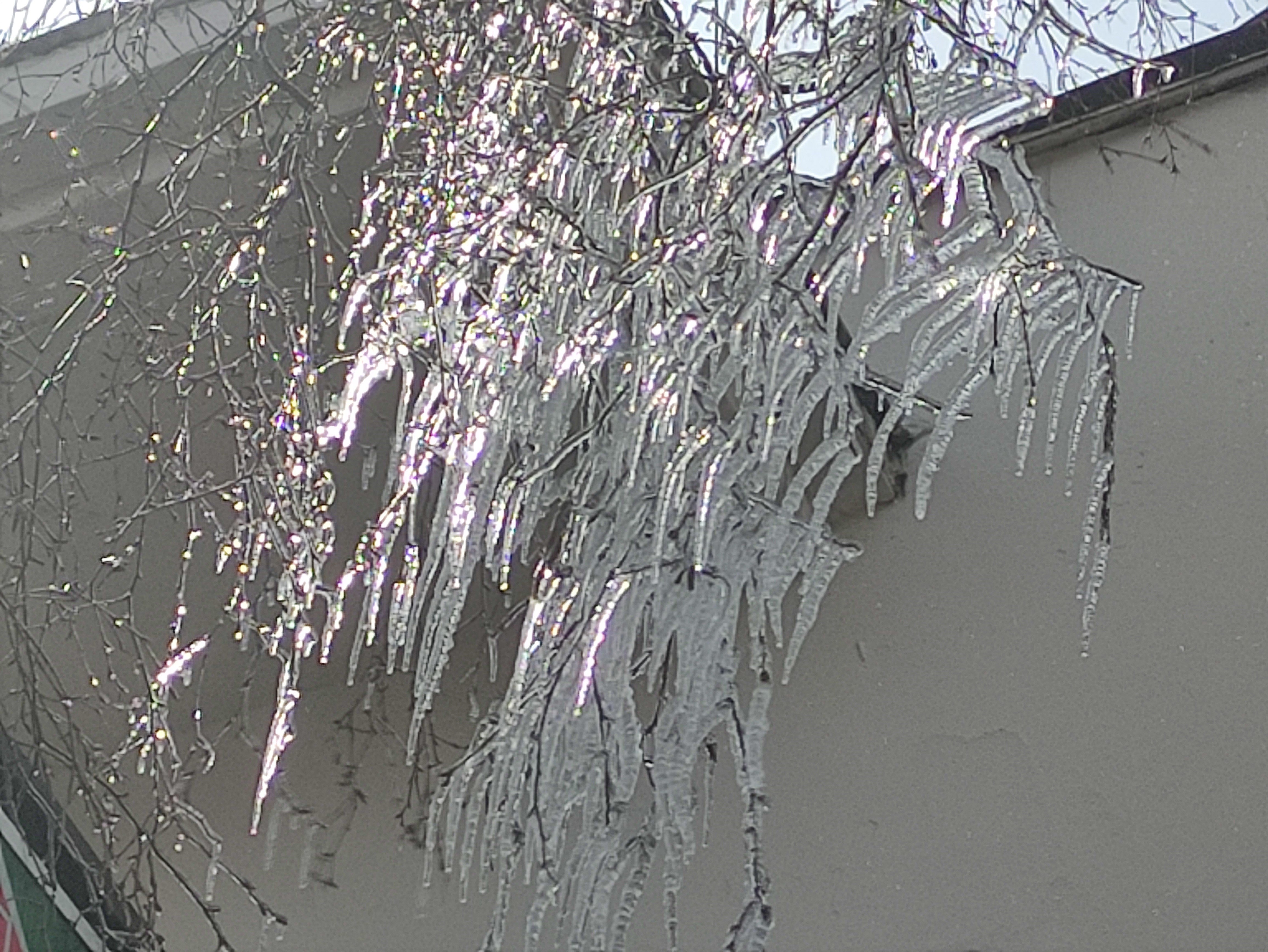 Göle'de dondurucu soğuklar ağaçları dondurdu! Kristalize olan dallar kışın ortasında görsel şölen sundu