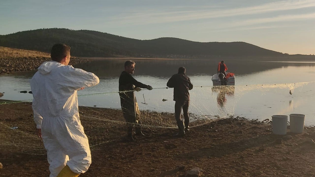 Gölette hayalet ağ paniği! 500 balık canlı kurtarıldı