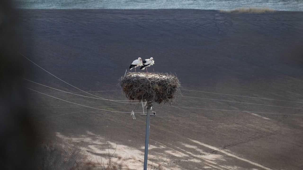 Gözler yollardaydı, geri döndüler!