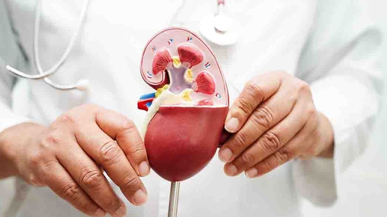 Güncel veriler açıklandı! Türkiye’de her 7 kişiden biri böbrek hastası