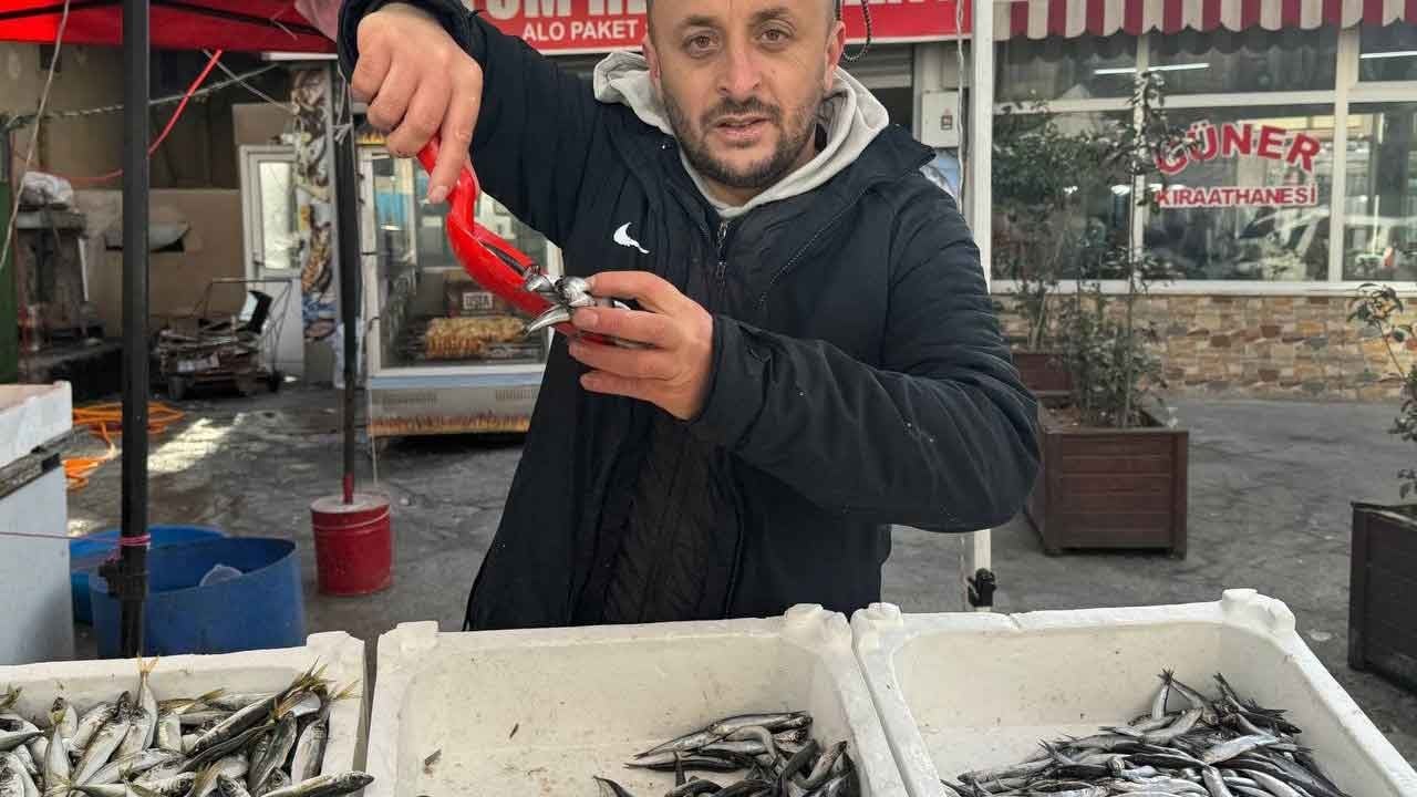 Hamsi bitti, vatandaş istavrite talim etti! Zonguldak'ta balıkçı tezgahları el yakıyor!