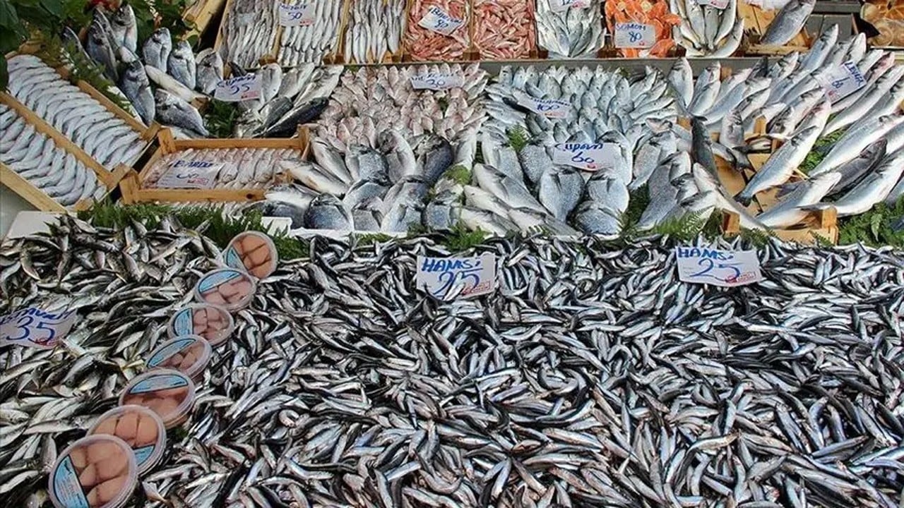 Hamsi liderliği bırakmadı Su ürünleri üretimindeki artış sevindirdi