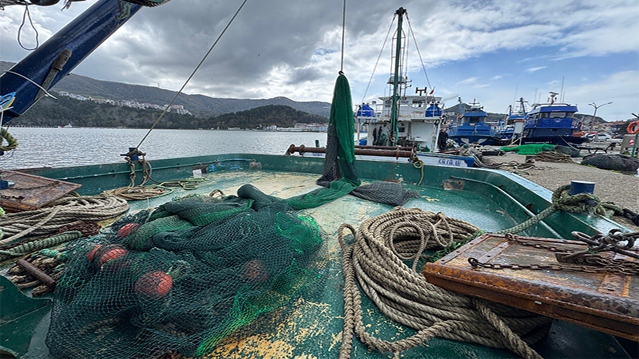 Hamsi yüzleri güldürdü palamut herkesi üzdü