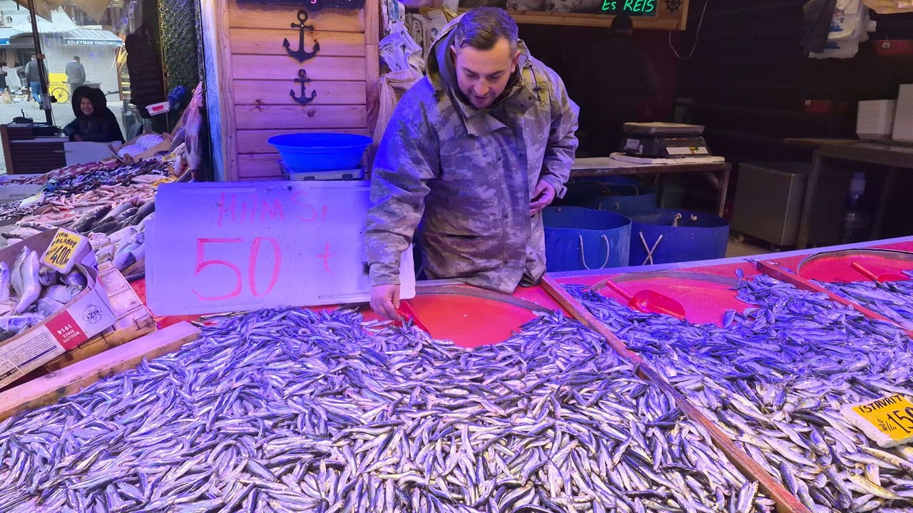 Hamsinin fiyatı 50 liraya düştü, metrelerce kuyruk oluştu