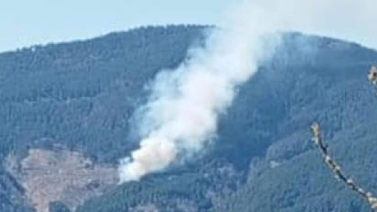 Havalar ısındı, ilk orman yangını haberi geldi!