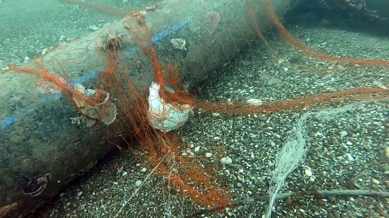 Hayalet ağlar denizden çıkarıldı! 1,5 milyon canlı kurtuldu