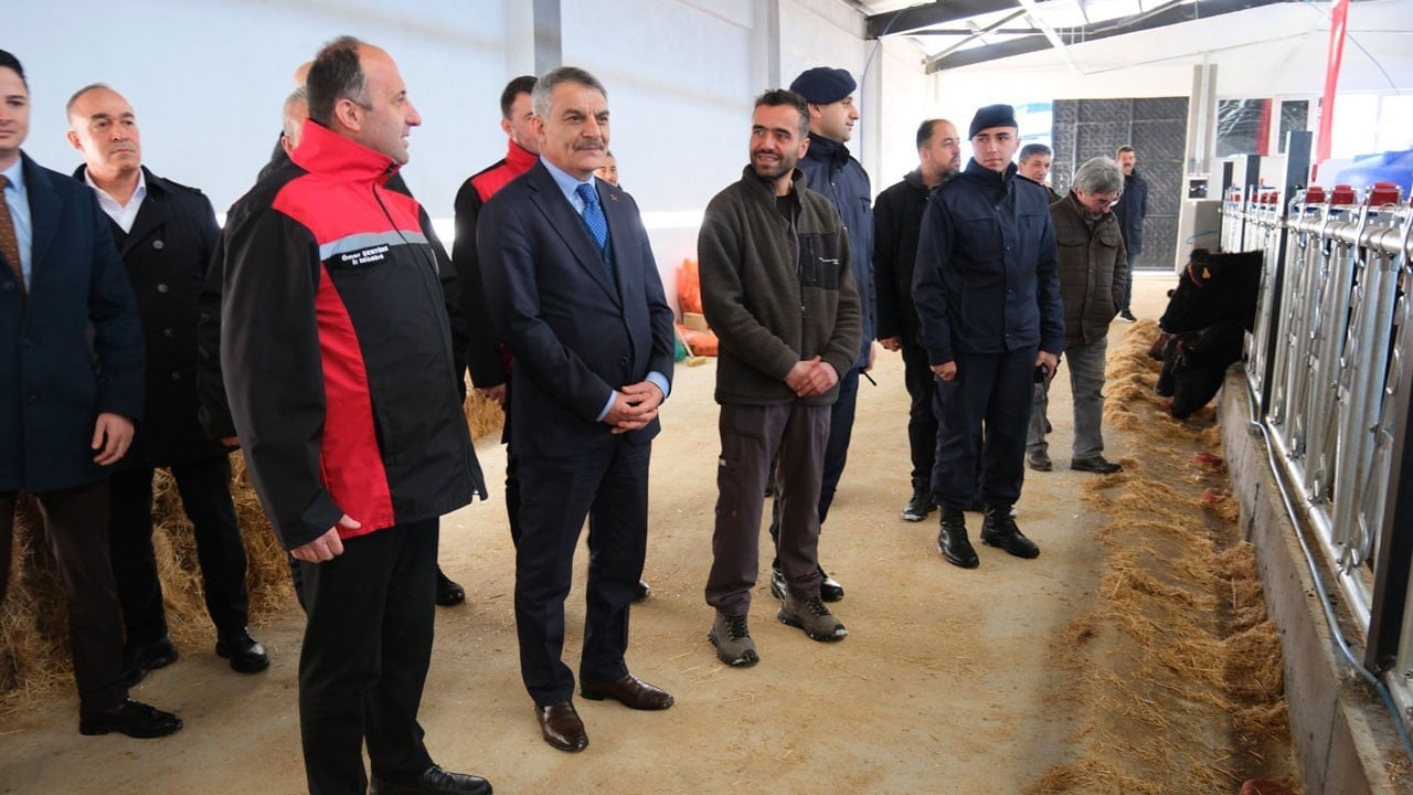 Hayvancılığa destek! Veteriner hekime 26 gebe düve teslim edildi