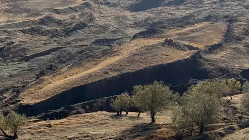 Her gelen bir parçasını götürüyor Dünyada bir benzeri yok