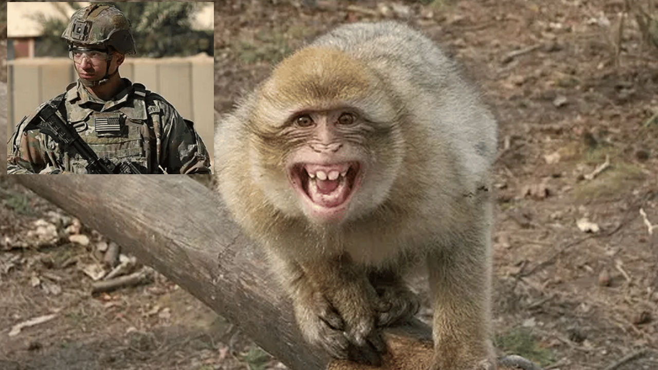 Hürmüz Ablukası için Yola Çıkan ABD'li askere maymun saldırdı!