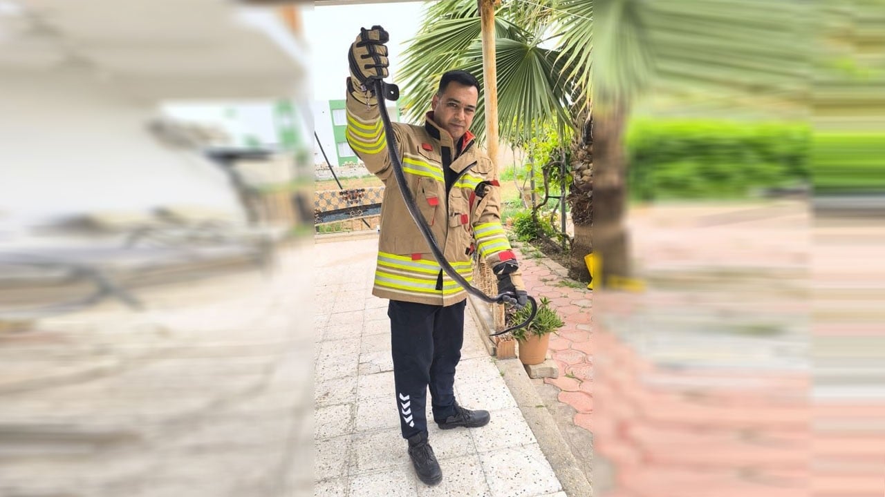 İtfaiye özel aparatla yakaladı! Evde beklenmedik misafir