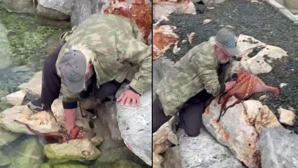 İzmir’de dev ahtapot avı! Elleriyle böyle yakaladı