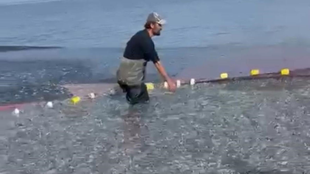 İznik Gölü’nde rekor av! Tek seferde 21 ton balık yakaladı