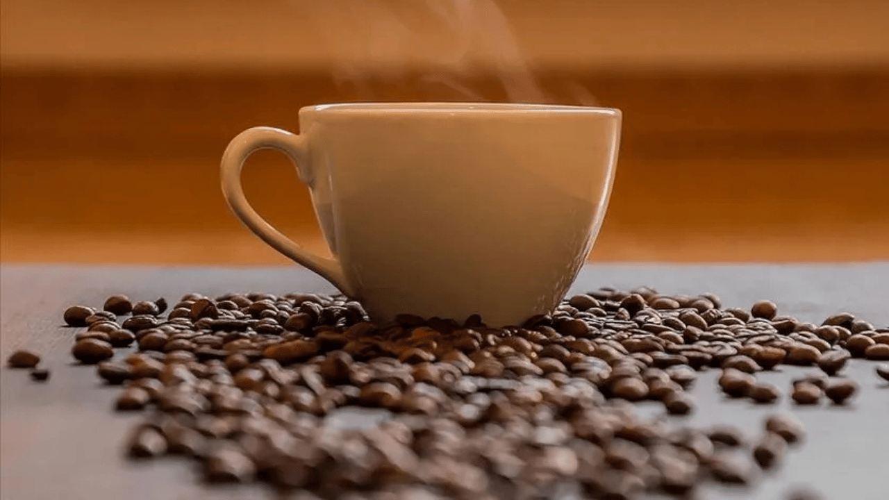 Brezilya Kahve İçin 737 Bin Hektar Orman Kesti: Yağış Azaldı, Kahve Geleceği Tehlikede!