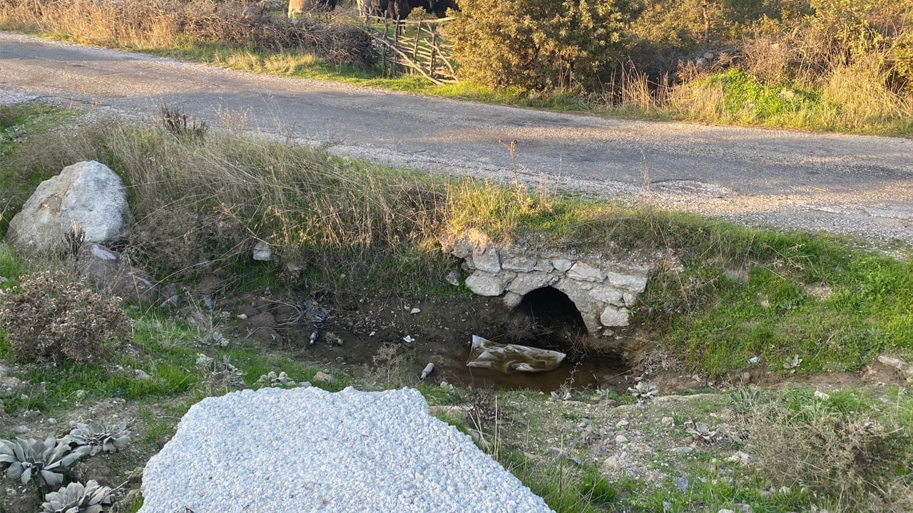 Kan donduran olay! Boş arazide bebek cesedi bulunu