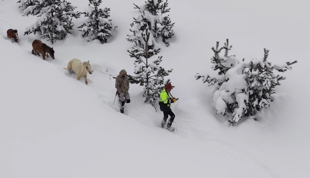 Gençler mahsur kalan atlar için seferber oldu!