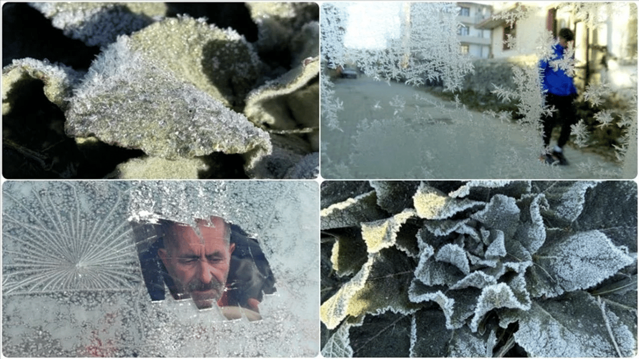 Kars'ta kırağı etkili oldu