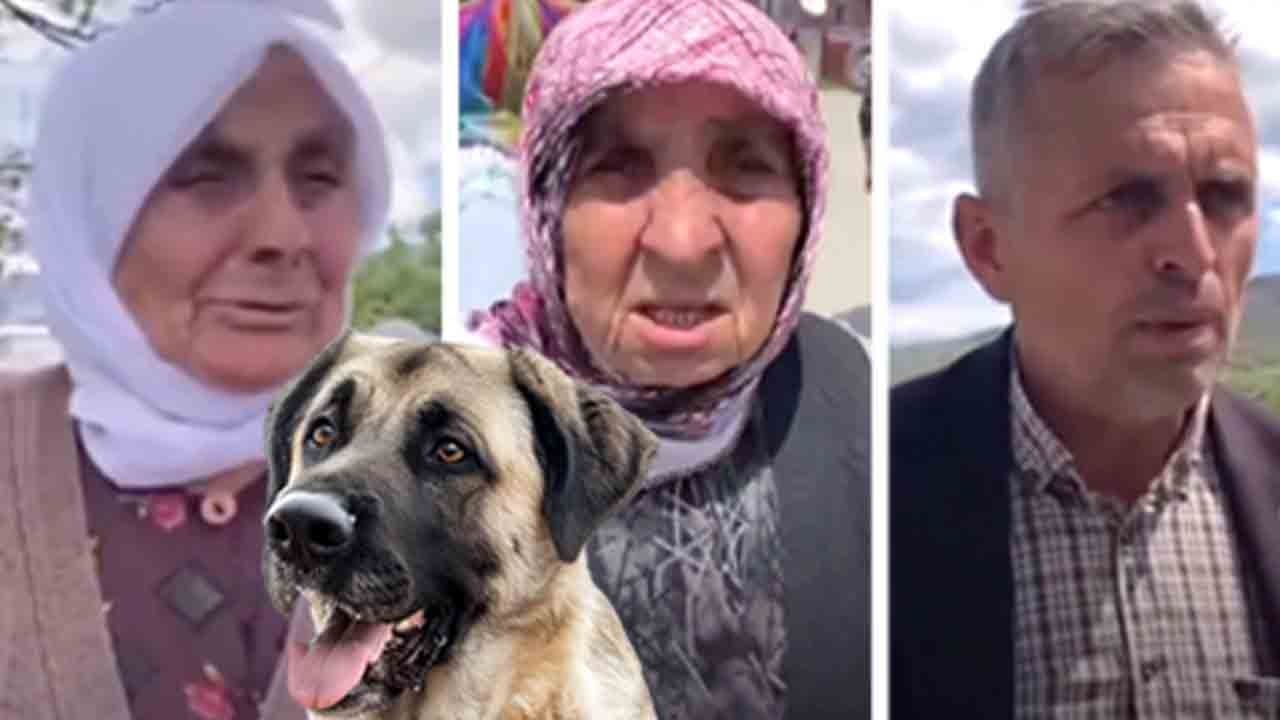 Kastamonu Tosya Akbük’te neler oluyor?