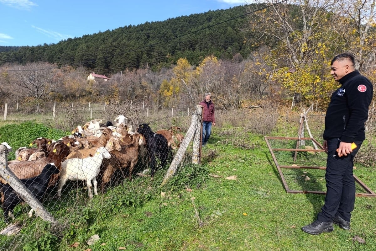 Kaybolan 30 Küçükbaş, Dron Operasyonuyla Tek Tek Bulundu!