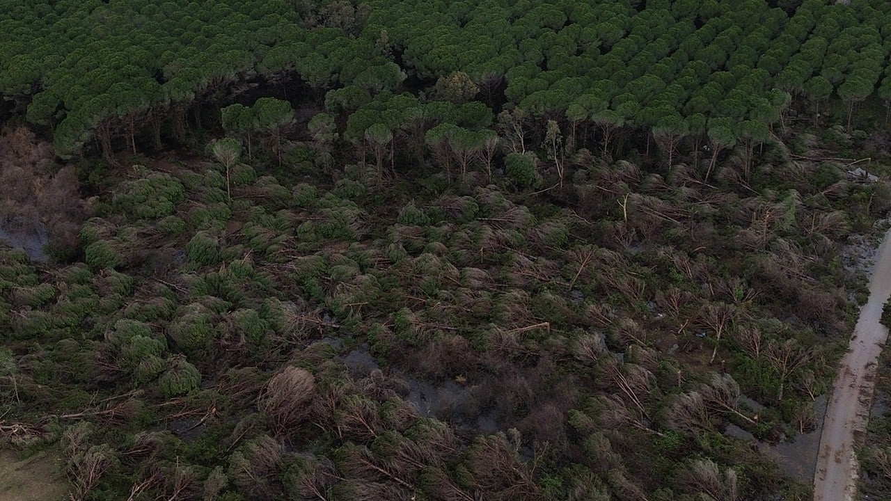Konum: Antalya... Hortum ormanı yıktı geçti