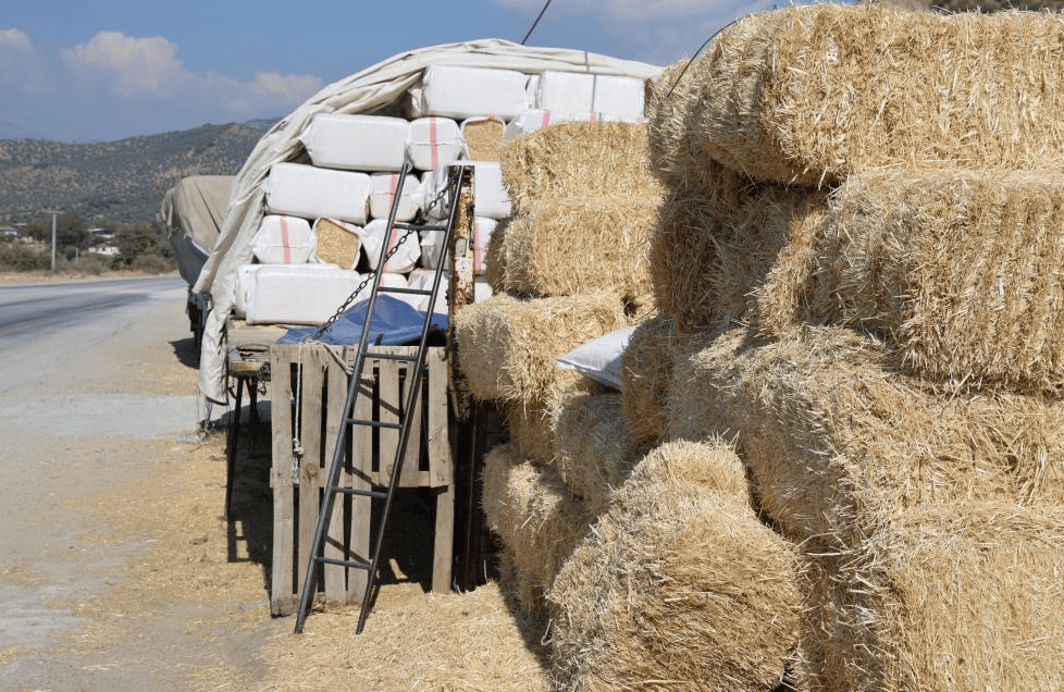 Köşk'teki samanlar vatandaşı bezdirdi