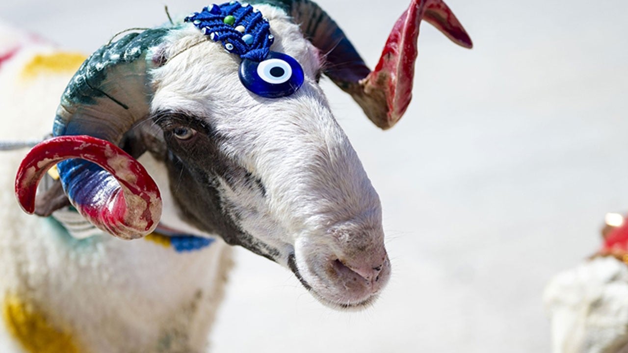 Kurban Bayramı ne zaman 2026?