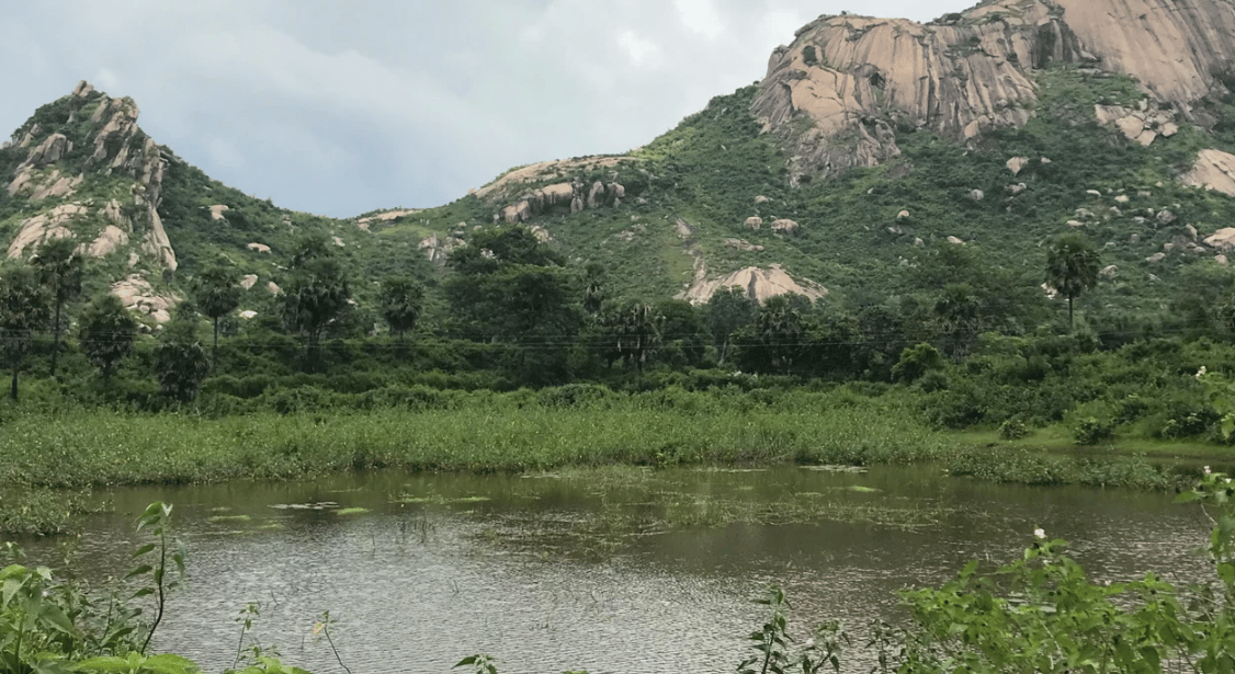 Kurdukları köy dolandırıcılığın merkezi oldu