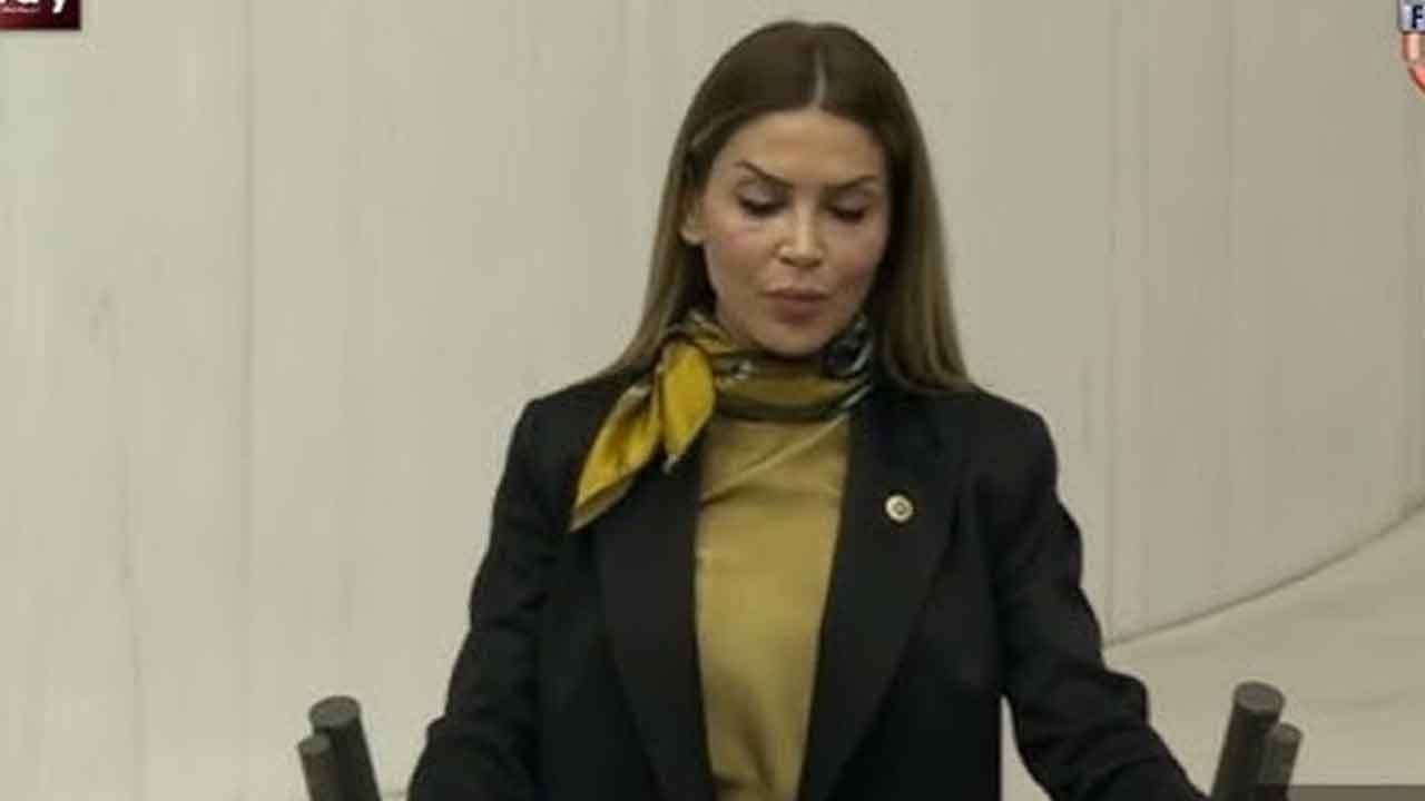 Meclis'te kritik seçim! Karma Alt Komisyonun başına Behiye Eker geçti