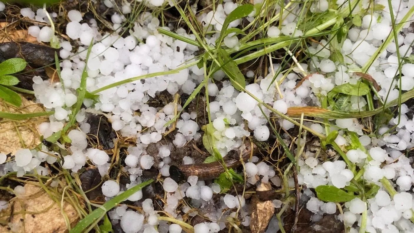 Mersin'de dolu yağışı etkili oldu