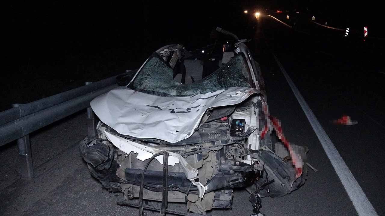 Milyonluk yarış atları otoyolu birbirine kattı! Karayolunda can pazarı yaşanan kazadan kahreden haber geldi!