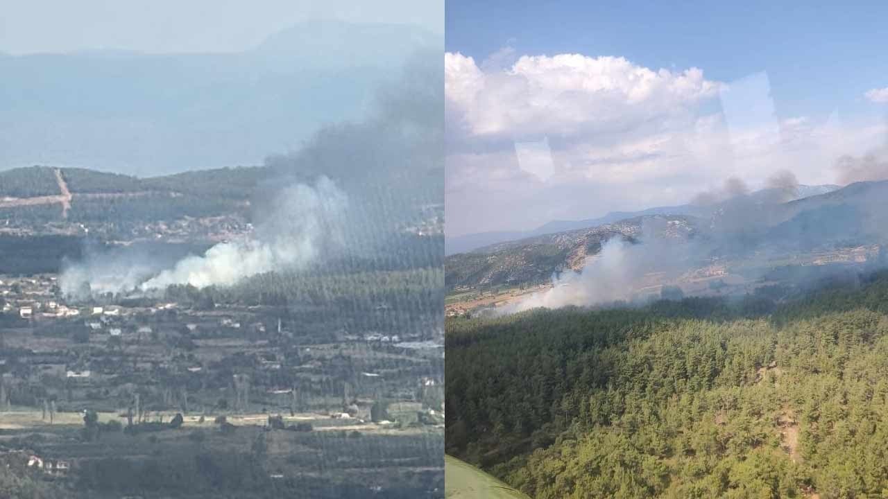 Muğla'da bir orman yangını daha