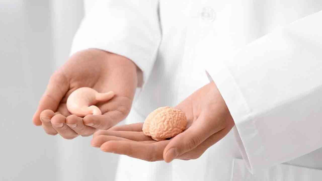 Nakil beklemek tarihe karışıyor: Uydu karaciğer hayat kurtaracak