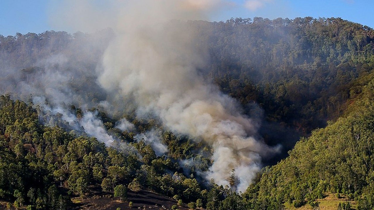 O ülke alevlere teslim! 50’den fazla orman yangını çıktı