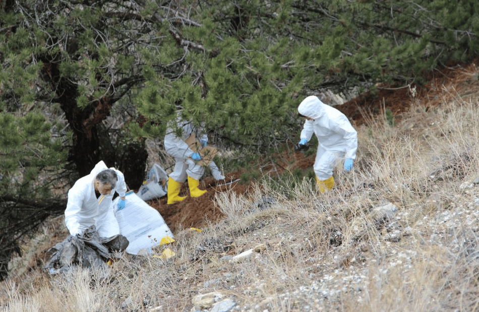 Öldürülen yaşlı adamın öldürülmesiyle ilgili 4 gözaltı