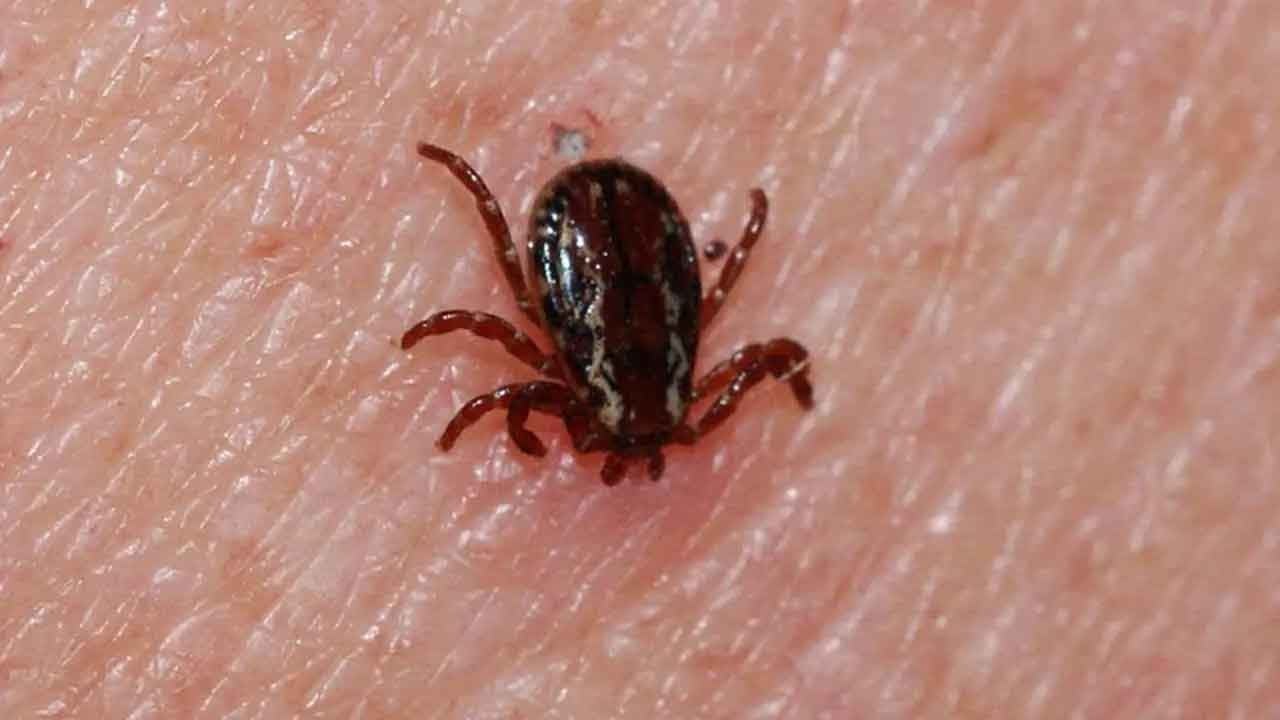 Ölümcül tehlike! Sivas Valiliği uyardı