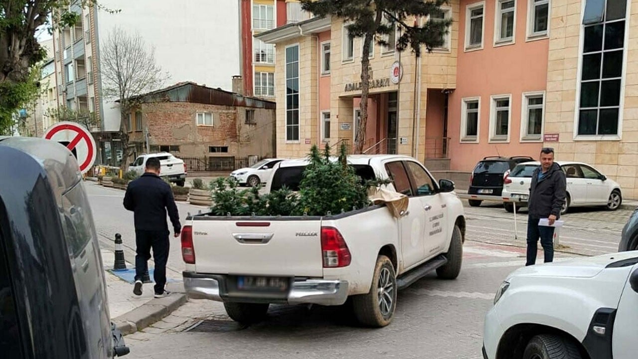 Operasyon düzenlendi! Apartman dairesinde bakın ne yetiştirmiş